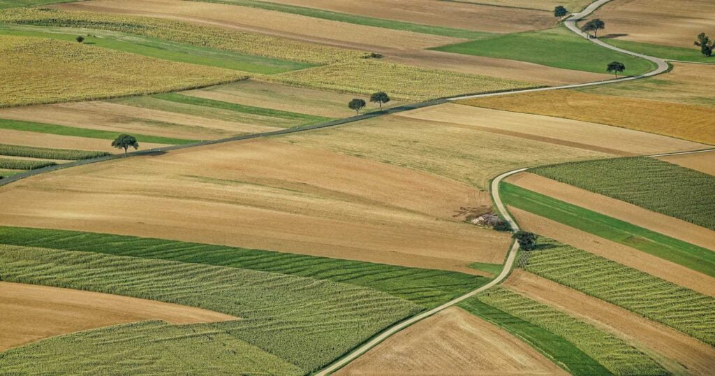 Agricultural fields with crops and roads with a few trees in between