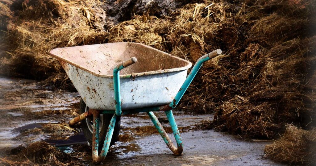 Wheelbarrow in front of a pile of cow manure on a livestock farm