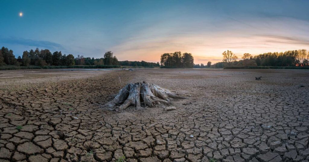 A tree stump in an empty lake or river with dehydrated soil due to drought