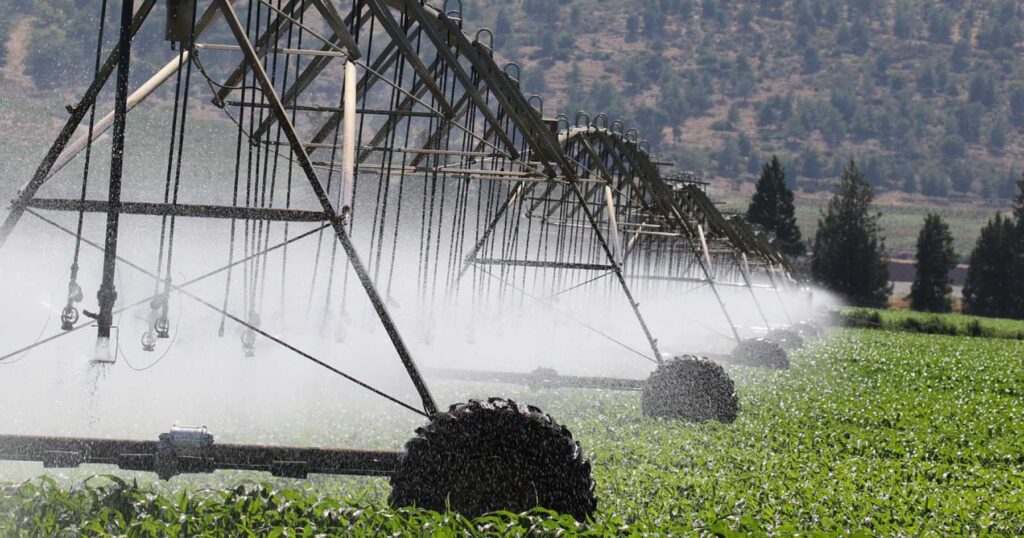 Large irrigation system with sprinklers spreading water on an agricultural crop field