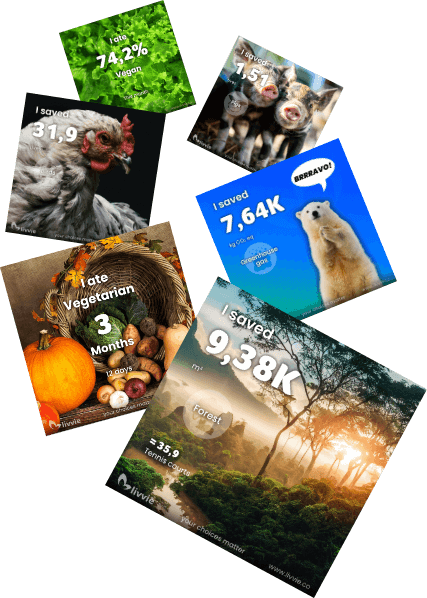 Share your diet and impact achievements to inspire others on social media with beautiful images.