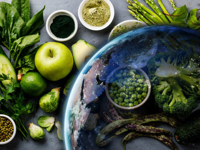 The Environmental Benefits of a Vegetarian or Vegan Diet